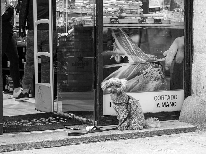 Caniche chez le boucher | Barcelone par Flatfield