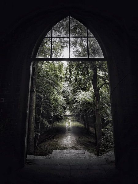 View by Novygrafie
