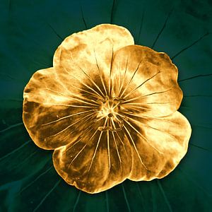 Goldene Blume