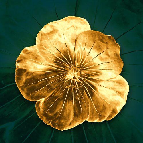 Goldene Blume von True Nature Art