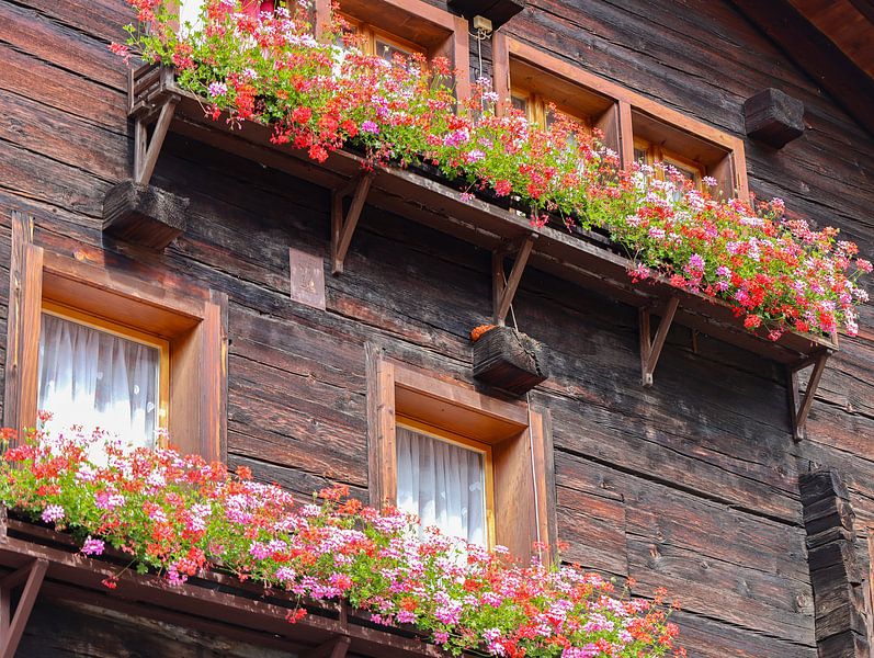 colourful flower boxes by Marieke Funke