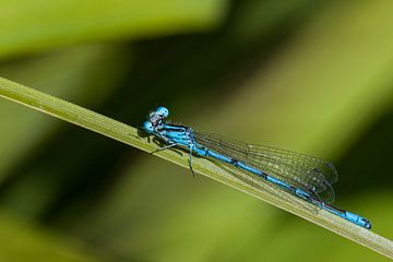 Hi there! sur Stefan Wapstra