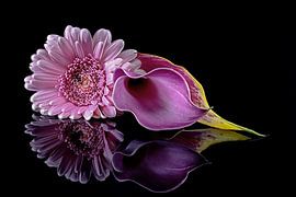 Blumenarrangement einer Gerbera und Calla von Jürgen Hust