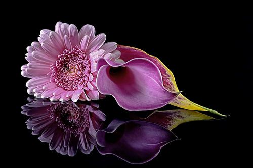 Blumenarrangement einer Gerbera und Calla