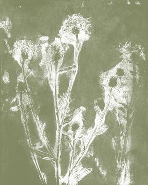 Meadow flowers in white on khaki green. Modern botanical art. by Dina Dankers