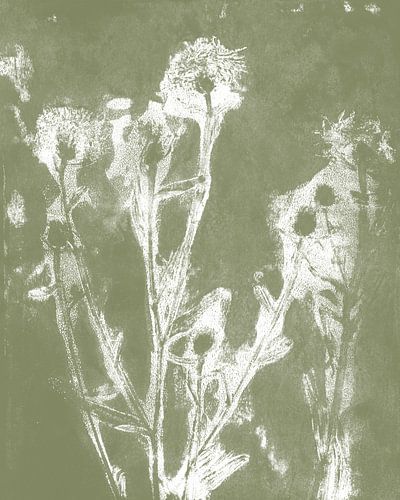 Fleurs de prairie en blanc sur vert kaki. Art botanique moderne.