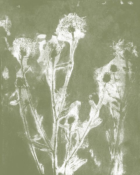 Fleurs de prairie en blanc sur vert kaki. Art botanique moderne. par Dina Dankers