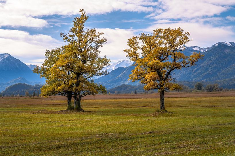 The Murnauer Moos and the Alps by ManfredFotos