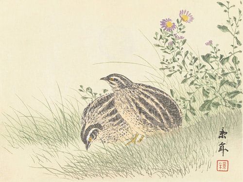 Imao Keinen - Two Quails (1892-1911)