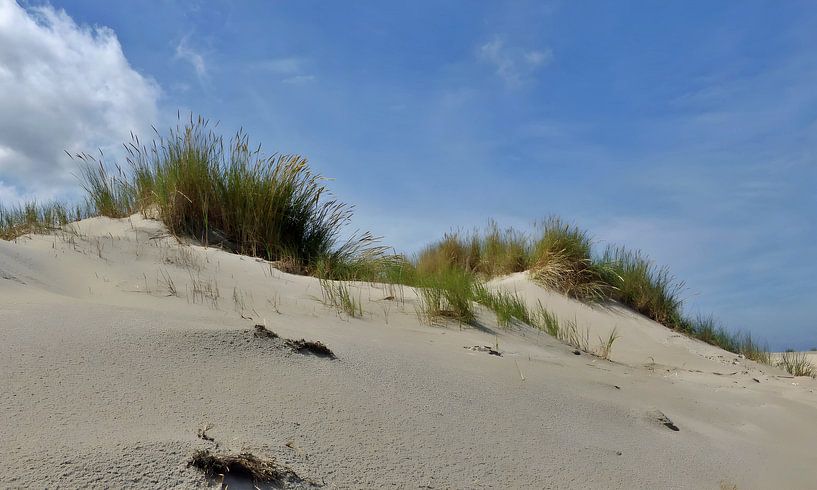 Terschelling von Jessica Berendsen