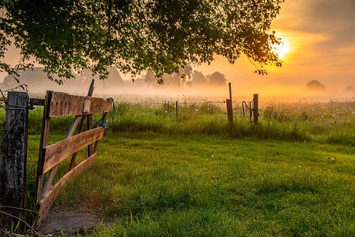 offenes Tor lässt die Sonne herein