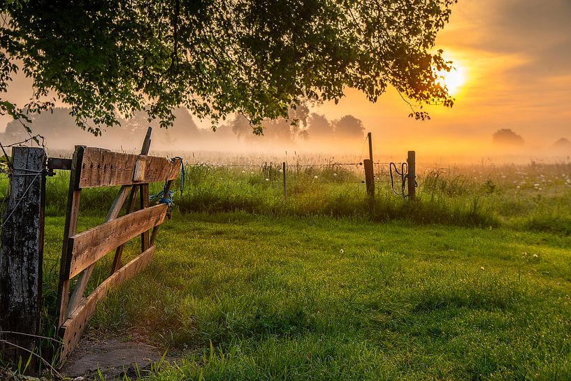 open gate lets the sun in by Sylvain  Poel