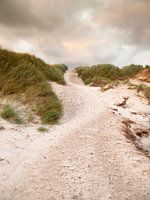 Leads to the Sea
