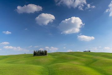 Le printemps en Toscane sur Achim Thomae