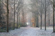 Bos in de Winter met Sneeuw en Rijp en nog een klein beetje Herfst van Mireille Breen thumbnail