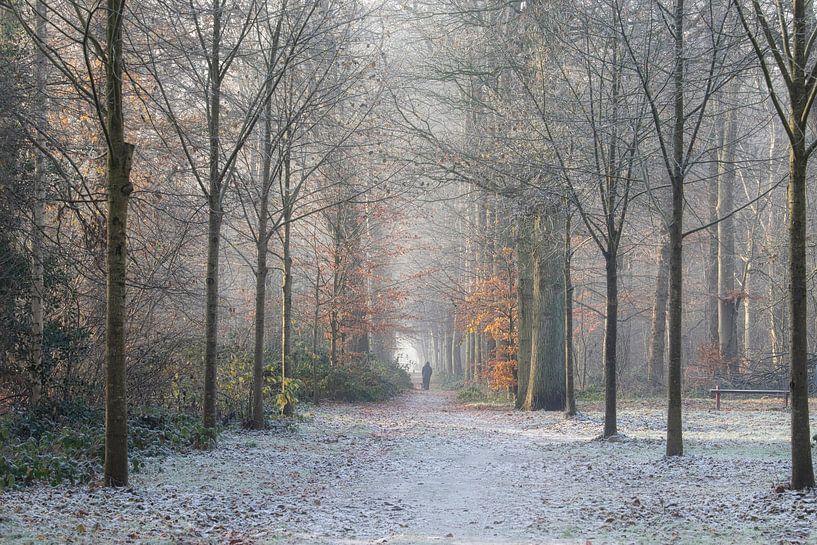 Bos in de Winter met Sneeuw en Rijp en nog een klein beetje Herfst van Mireille Breen