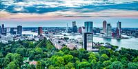 ROTTERDAM SKYLINE  
