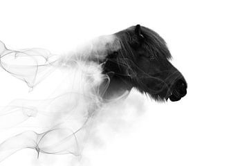 Rauchendes Pferd von Kim van Beveren