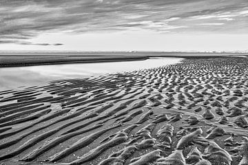 Meerblick auf die Nordsee und den Strand von eric van der eijk