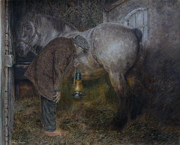 Untersuchung der trächtigen Stute von Wim Romijn