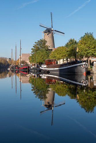 Molen de Roode Leeuw achter de Museumhaven in Gouda