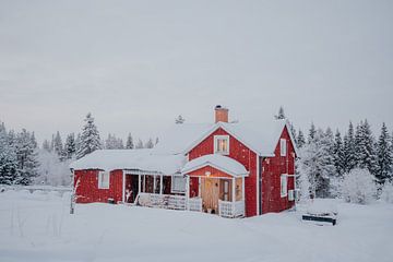 Winters tafareel in Zweeds Lapland - Zweeds rood huis fotoprint van sonja koning