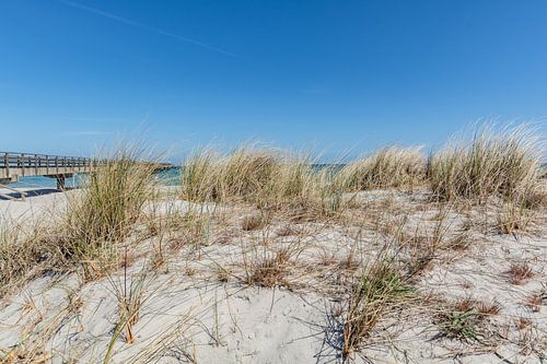 Dunes et pont maritime à Prerow
