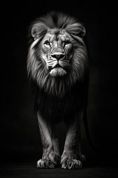 Lion sur Poster Art Shop