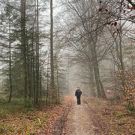 Rémi Pijnappels Profile picture