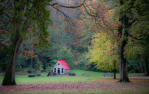 Moutons de pays de Hollande