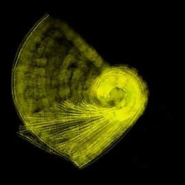 Dans le tunnel. sur Neval's place