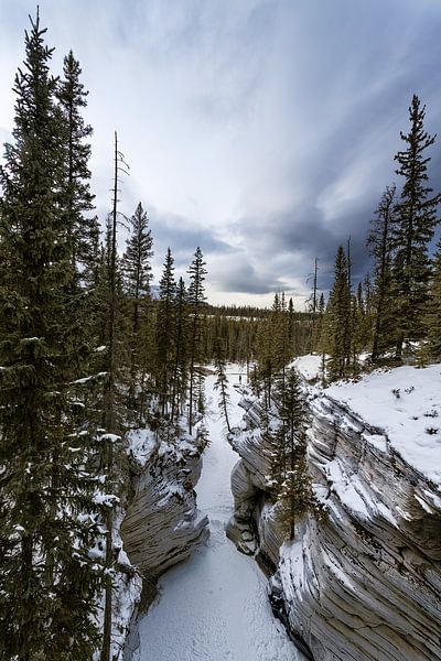 Athabasca falls von Luc Buthker