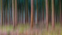 Lines Of Trees van William Mevissen thumbnail