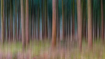 Lines Of Trees van William Mevissen