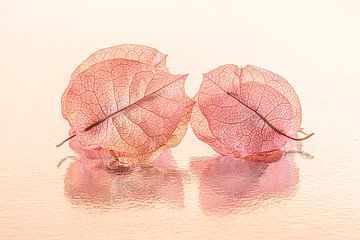 Summer of colour: Blaadjes van de Bougainvillea samen in pastel roze oranje tinten van Marjolijn van den Berg