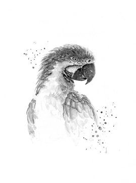 Papagaai in zwart wit van Atelier DT