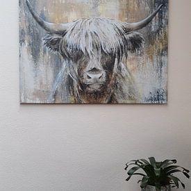 Customer photo: Highland Cow I by Atelier Paint-Ing, on canvas