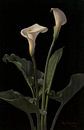 Calla Lilies, George Cochran Lambdin von Meisterhafte Meister Miniaturansicht