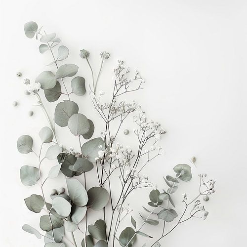 Eucalyptus en gipskruid