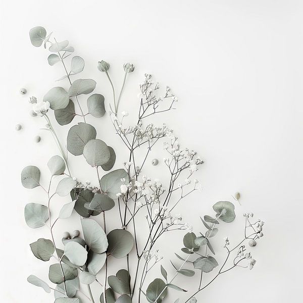 Eucalyptus and gypsophila by Poster Art Shop