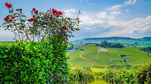 Vergezicht op Castiglione Falletto, Piemonte, Italië.