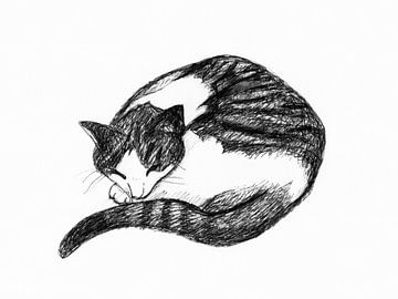 Pentekening van een kat van Karolina Grenczyk