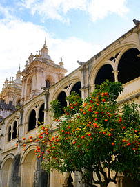 Het klooster Mosteiro de Alcobaça in Portugal van Thomas Zacharias
