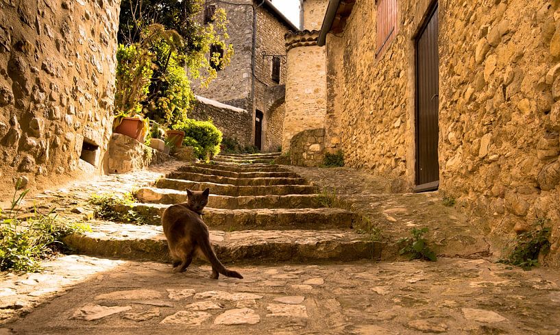 Village scene in Mirmande in France by Tanja Voigt