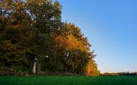 A Ranger's Lookout (2017) von Ronald Smeets Photography Miniaturansicht