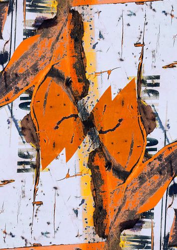 Orange Wings by Jeannet Zwols  Fotografie