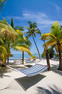 FLORIDA KEYS Heavenly Place