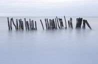 Holzpfähle im Meer während eines stürmischen Abends. Isla Holbox Mexiko. von Sander Hupkes Miniaturansicht