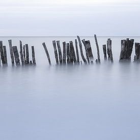 Holzpfähle im Meer während eines stürmischen Abends. Isla Holbox Mexiko. von Sander Hupkes