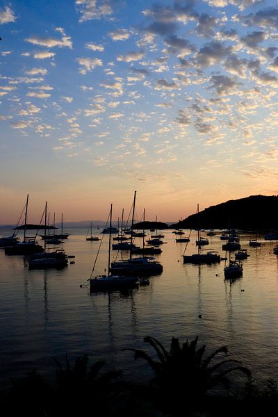 Matins d'été sur l'île par Nina Rotim